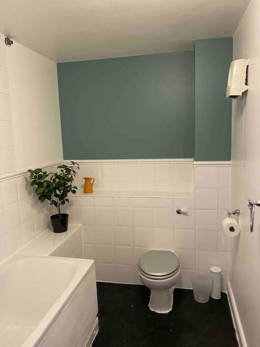 Apartmán Canal-Flat Near Stratford International Station Londýn Exteriér fotografie